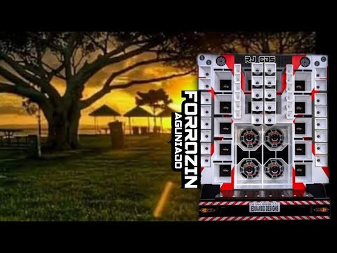 FORRÓZIN AGUNIADO JULHO 2024 - DJ MELK / ATUALIZADO JULHO 2024 / PRA LEVANTAR A POEIRA -( RJ CDs )