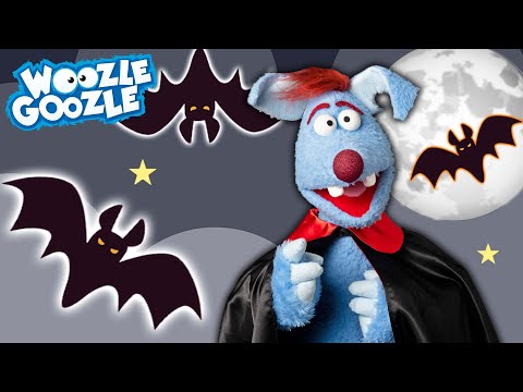 Wie leben Fledermäuse? l WOOZLE GOOZLE