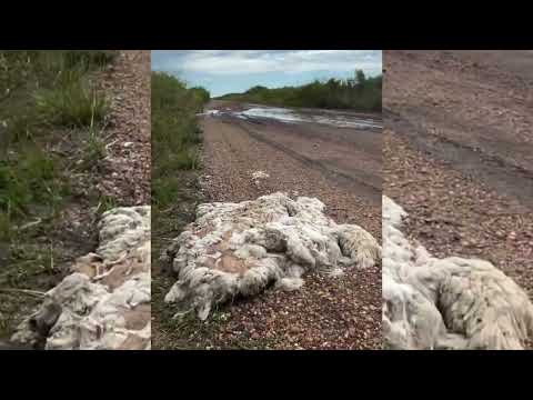 📍 Tramo San Jaime – San José de Feliciano (Entre Ríos)