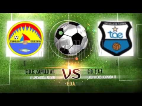 C D C  ZAPILLO AT  11   C D  T A E   5