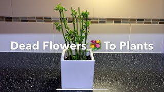 Don’t Throw Your Dead🥀 Flower 💐 Bouquet Away |  Make New Plants 💐 With Them