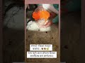 Govind Maharaj Hiacha Samadhi Sora Shorts Viral Samadhi Maharaj
