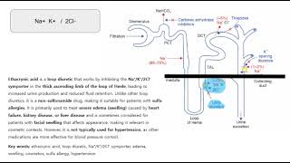 ethacrynic acid, Na K 2Cl, loop diuretic, symporter, edema, swelling, sulfa allergy,