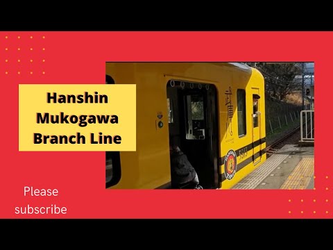 Hanshin Mukogawa 武庫川 Line-Hanshin Tigers Train