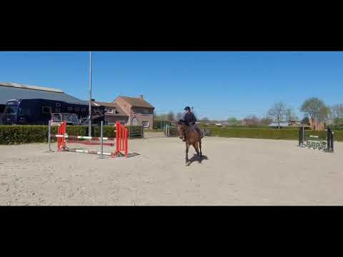 Kocaine Saveniere (CORICO Z x CANTUS) - Video 2 video thumbnail