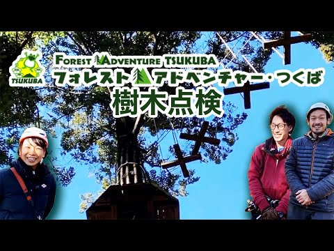 フォレストアドベンチャーつくば 様の事例
