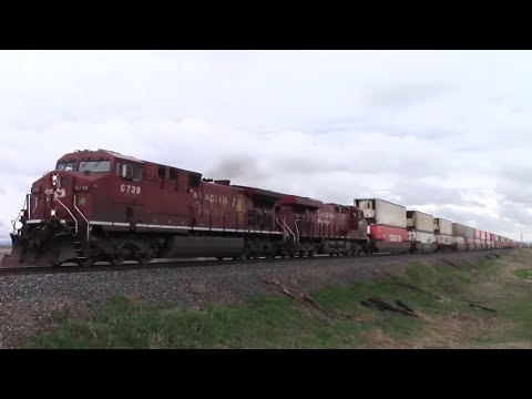 WCR Railfaning HD: CP 9739 Leads CP 118 (Intermodal/Mixed) East At Wildrose AB, CP Brooks Sub.