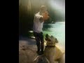 Labrador Learning Dance Music Hamari Adhuri Kahani Doglover Dogs Dogsofinstagram Dogstagram