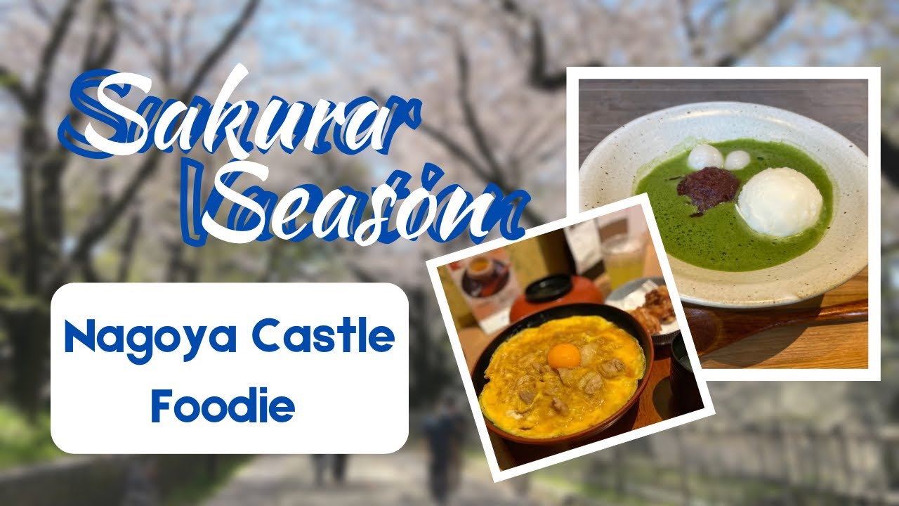 Embark on a virtual tour through Kinshachi Yokocho.