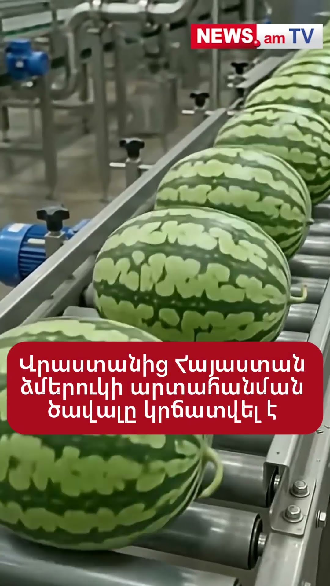 Վրաստանից Հայաստան ձմերուկի արտահանման ծավալը կրճատվել է 118 անգամ