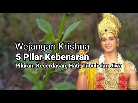 Wejangan Krishna | 5 Pilar Kebenaran