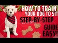 Sit Good Boy A Step By Step Guide To Teach Your Dog To Sit
