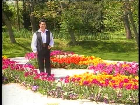 𝐕𝐚𝐬𝐢𝐥𝐞 𝐂𝐈𝐎𝐁𝐀𝐍𝐔 - 𝐓𝐞-𝐚𝐬 𝐥𝐚𝐬𝐚 𝐟𝐫𝐚𝐭𝐞 𝐢𝐧 𝐜𝐚𝐬𝐚 , 𝐝𝐚𝐫 𝐦𝐚 𝐜𝐞𝐫𝐭  𝐜𝐮 𝐚 𝐦𝐞𝐚 𝐧𝐞𝐯𝐚𝐬𝐭𝐚