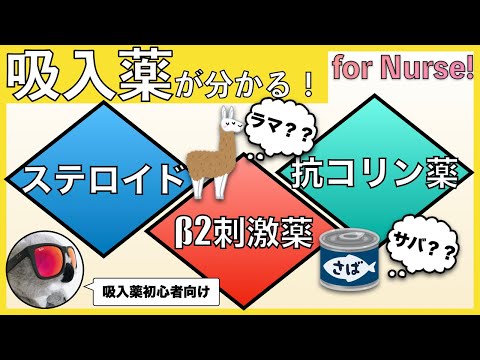 ブルレティエリ科について詳しく解説