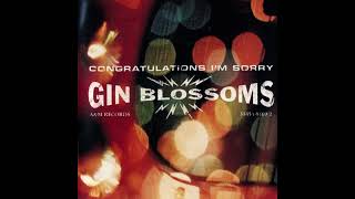 Gin Blossoms - Til I Hear It From You  HQ (Audio)