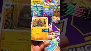 AMAZING RAINBOW BORDER SIR PULL!!