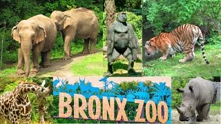 New York  Bronx Zoo Wild Asia Monorail Ride