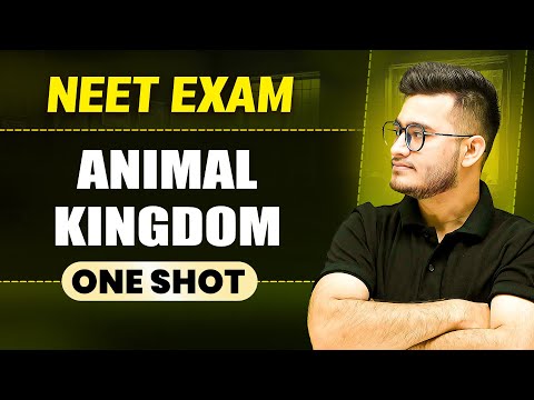 ANIMAL KINGDOM in 1 Shot || All Concepts & PYQs Covered || Prachand NEET