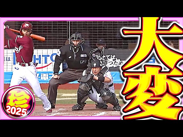 大・変【珍プレー2025】