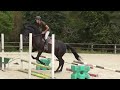 Magnifique m&acirc;le d&rsquo;avenir pour le CSO ou CCE 