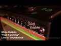 White Rabbits: "I Had It Coming," Live on ...