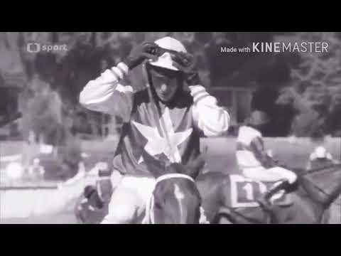 128.Velká Pardubická s ČP? Pojďte se podívat! [DO YOU REALIZE]