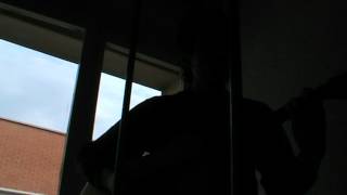 Dona estrangera, MANEL Versió Dídac