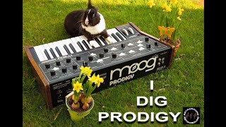 Video thumbnail for Best of Moog Prodigy Synthesizer ~ RetroSound Demo by RetroSound