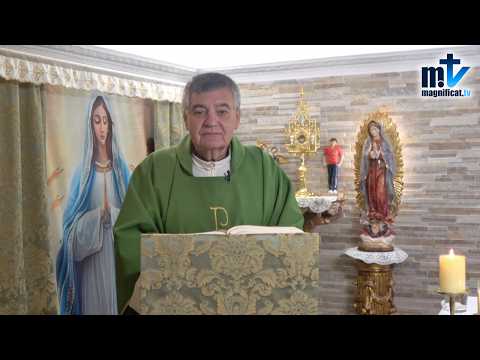 "Solo los Humildes Verán a Dios" | Homilía, Sábado, XXVI Semana del Tiempo Ordinario (03-10-2026) | P. Santiago Martín, FM
