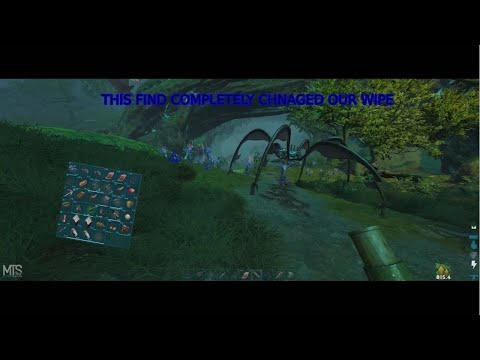 Ark MTS Beginners Day 1 A Great Start