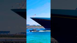 Disney Dream 🛳️ #yt #share #comment #subscribe #youtubeshorts #cruise #travel #shorts #short #video