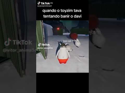 pinguim bravo 2.0 bomba