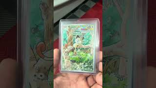 Today’s pick ups #pokemon #pokemonchannel #pokemoncards #pokemontcg #meowth #kanto