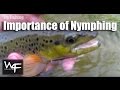 W4F - Fly Fishing "Importance of the Nymph" Scuds ...