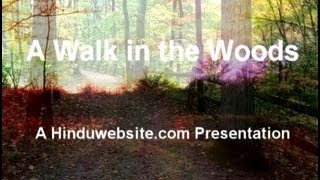 Creating Your Path - A Modern Aranyaka