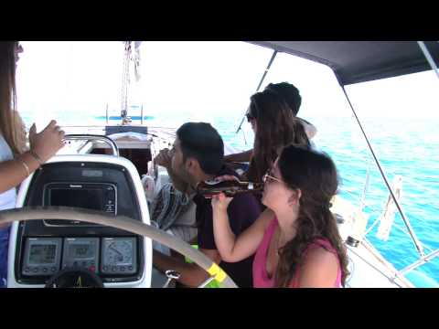 ים של כרישים