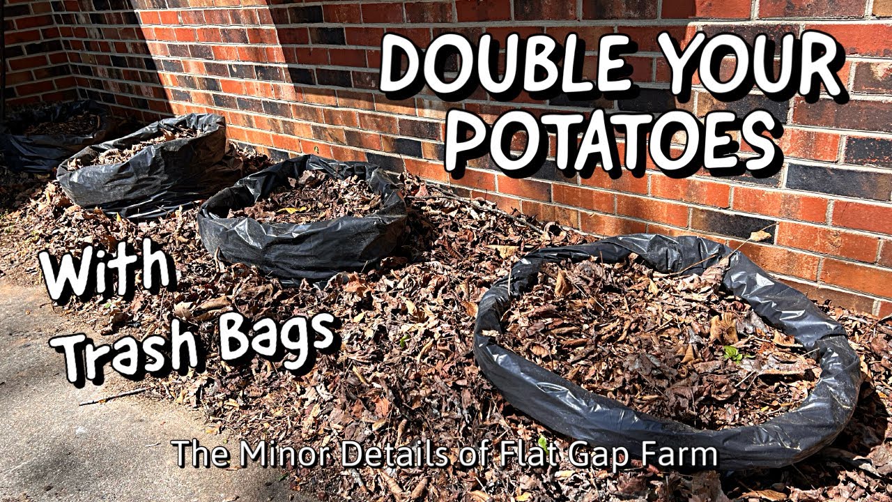 DOUBLE Your Potatoes With This Method