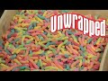 How Creepy Crawler Sour Gummy Worms Are Made Unwrapped Food Network