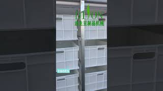 Download lagu Large-scale automatic commercial bean sprout machine, can cultivate delicious soybean sprouts mp3 Download lagu Large-scale automatic commercial bean sprout machine, can cultivate delicious soybean sprouts mp3