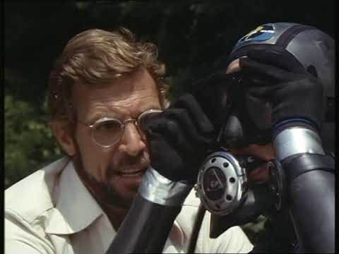 Killerfish scuba scene