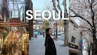 가장 좋을 때 한국에 와버렸다!!!한국 봄을 즐기는 일본인🌸