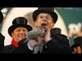 Groundhog Day 2014: Punxsutawney Phil Sees.