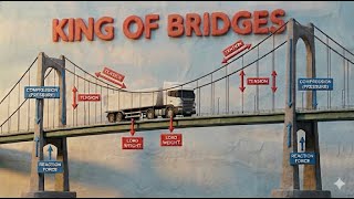 6 Bridges, 6 Ways to Fail: Structural Engineering Showdown | 3D ANIMATION