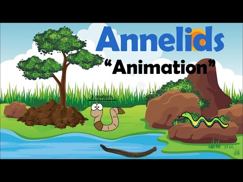 ANNELIDS | Biology Animation