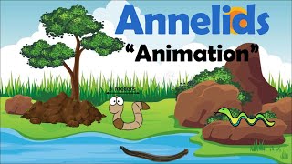 ANNELIDS | Biology Animation