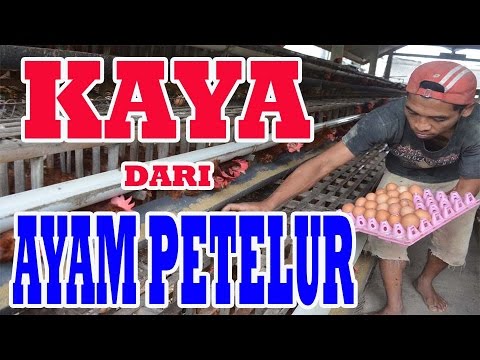 Perhatikan memulai wanita Potensi pada pria 50 tahun kekuasaan