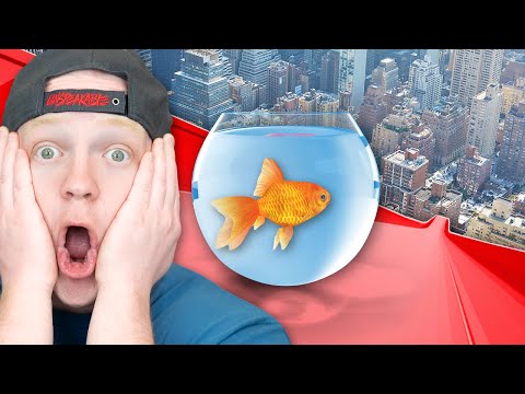 TRAPPED As A FISH For 24 HOURS!