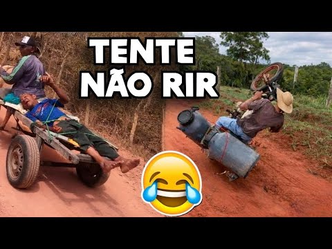 TENTE NÃO RIR — OS VÍDEOS MAIS ENGRAÇADOS DE 2026 😂