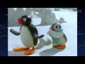 Pingu 002