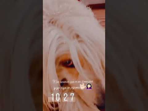 julia arguelles 05.01.20